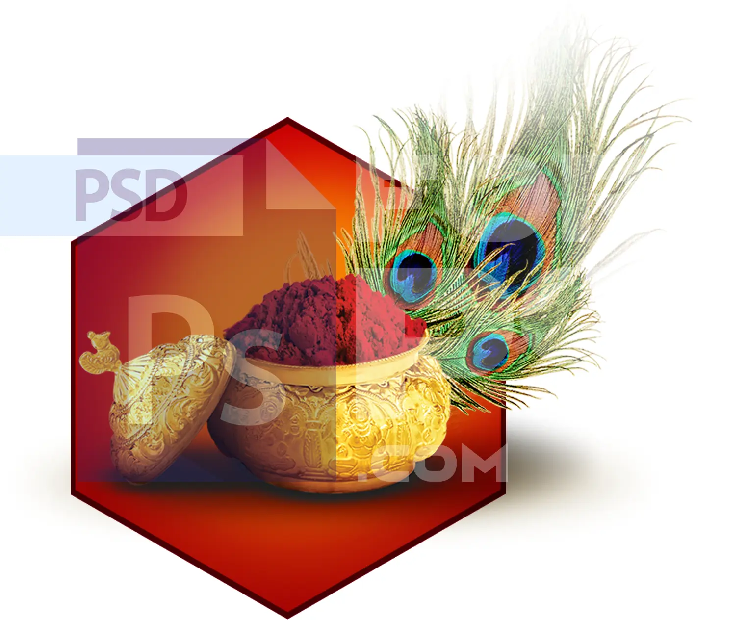 Image Preview